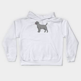 Silver Labrador Kids Hoodie